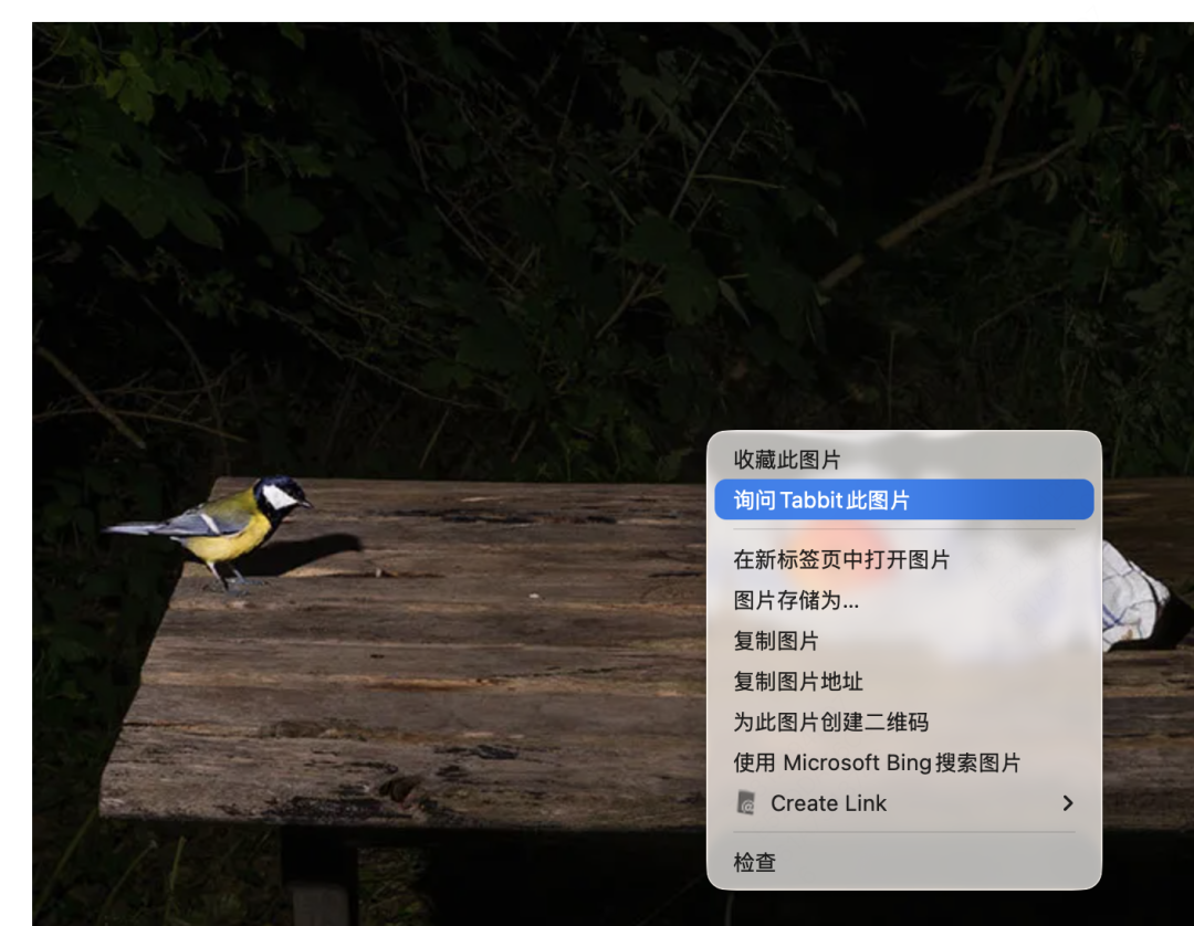 第一次打开 Tabbit,我可以做什么?