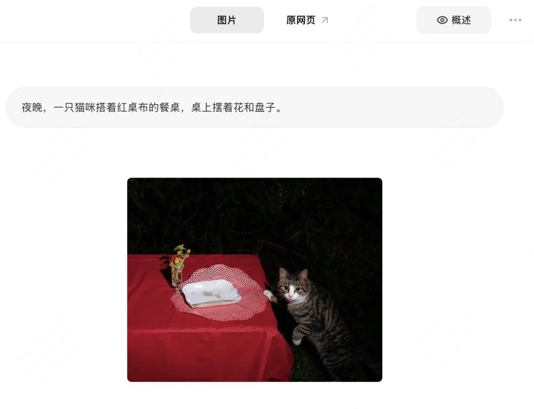 第一次打开 Tabbit,我可以做什么?