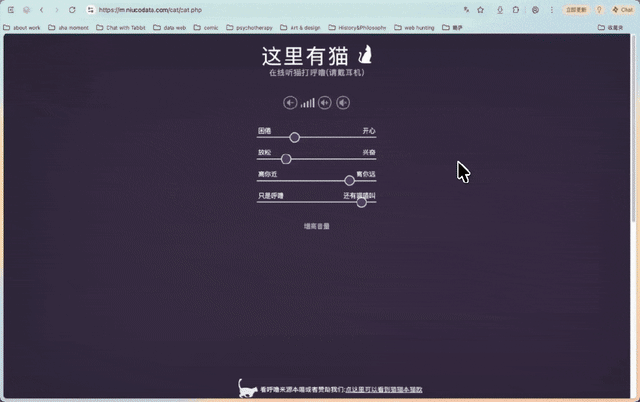 Tiscovery 06|这里有猫,也有世界